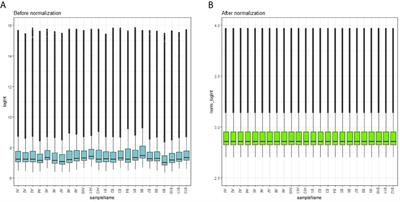 Identification of Key Pathways and Genes in Obesity Using Bioinformatics Analysis and Molecular Docking Studies